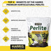 Harris Premium Horticultural Perlite for Indoor Plants and Gardening, 8qt to Promote Root Growth and Soil Health