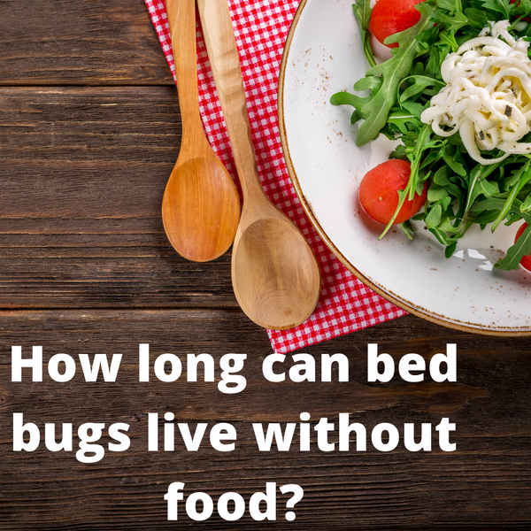 How Long Can Bed Bugs Live Without Food? PF Harris