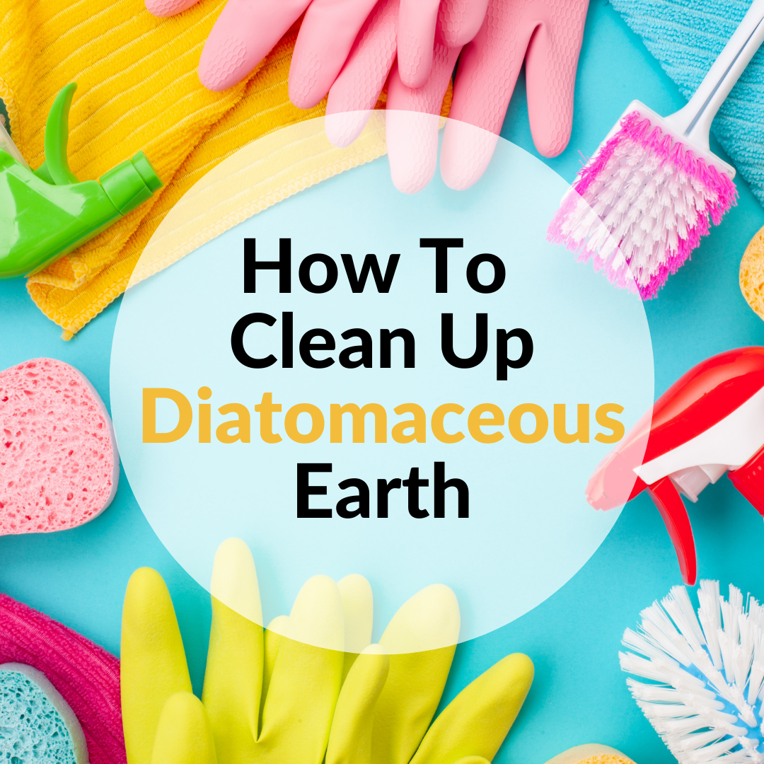 How To Clean Up Diatomaceous Earth  