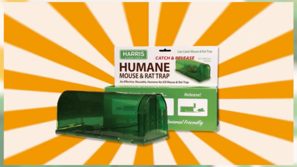 Harris Catch & Release Humane Squirrel & Rat Trap 