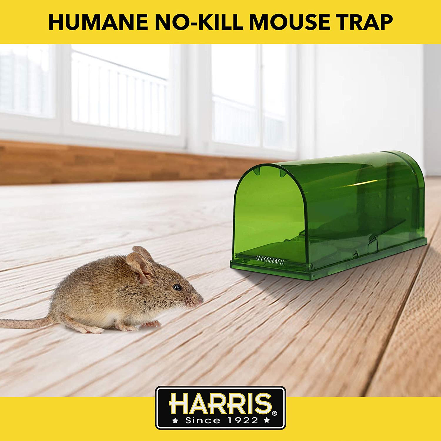 Humane Mouse Trap, No Kill Mouse Traps, Kids/ Pet Safe, Reusable