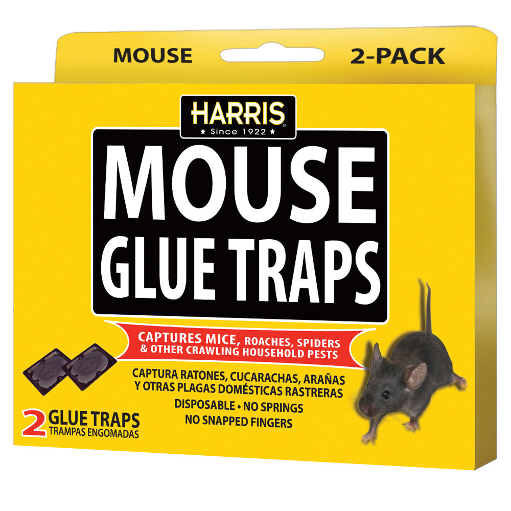 Get Rid of Mice- JAWZ Plastic Mouse Trap (2 Pack) 