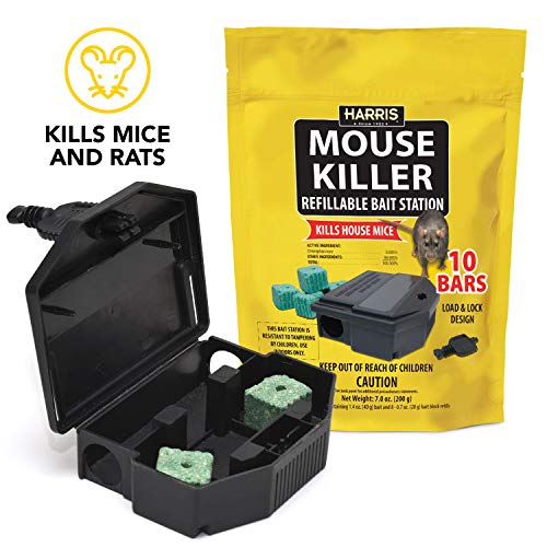 Dry Up-Bar Mouse Killer