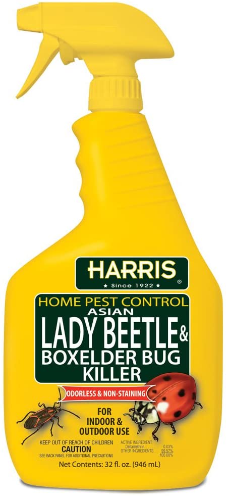 Harris Home Pest Control Asian Lady Beetle and Box Elder Killer (32 fl - PF  Harris