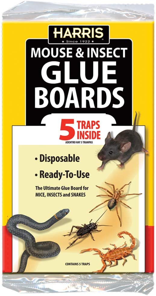 Harris GB-5 Mouse/Rat Trap