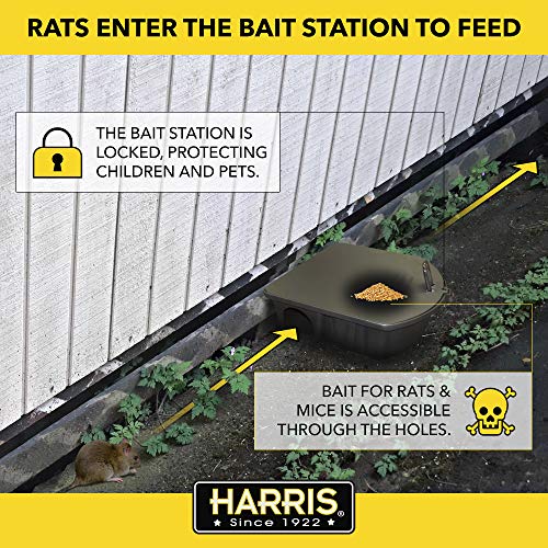 Baitbox Rat/Souris double appât avec piège à rat - Knock Off - KNOC00147