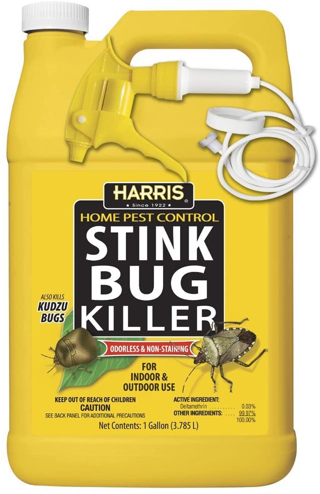 Stink Bugs - Prevention and Control