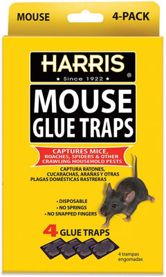 4 Mouse Sticky Boards Glue Traps Disposable Rat Mice Rodent Insect 8 x 5.5