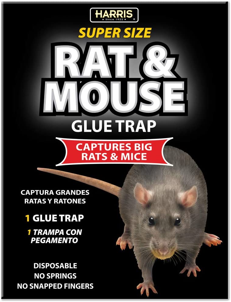 VASTRAP RAT & MOUSE TRAP GLUE 100G - BRIGHTS Hardware