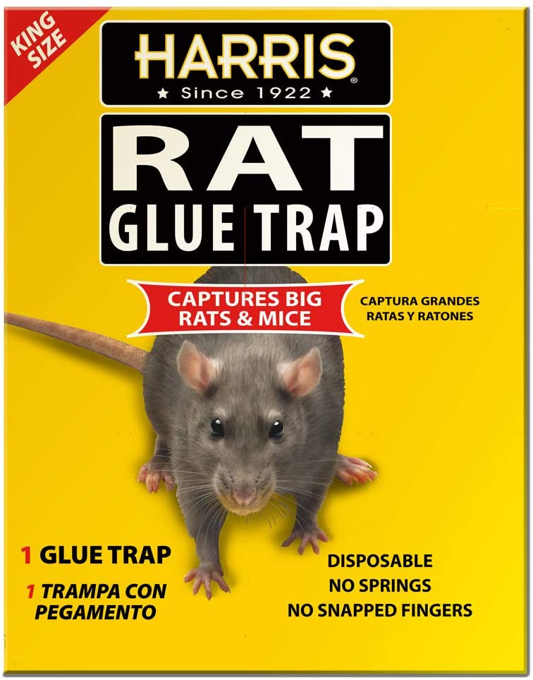 Harris Super Size Rat and Mouse Glue Trap, 0.55 lb., 5.4 in. x 9