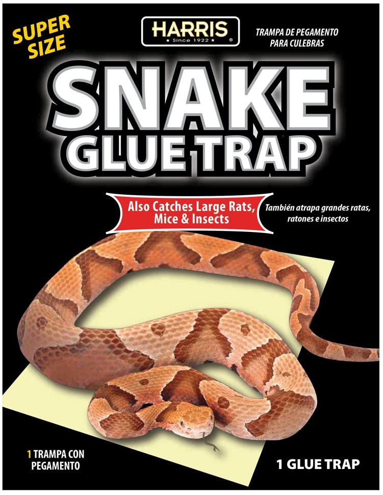 Harris Snake Glue Trap, Super Sized for Snakes, Rats, Mice and Insects (1-Pack)