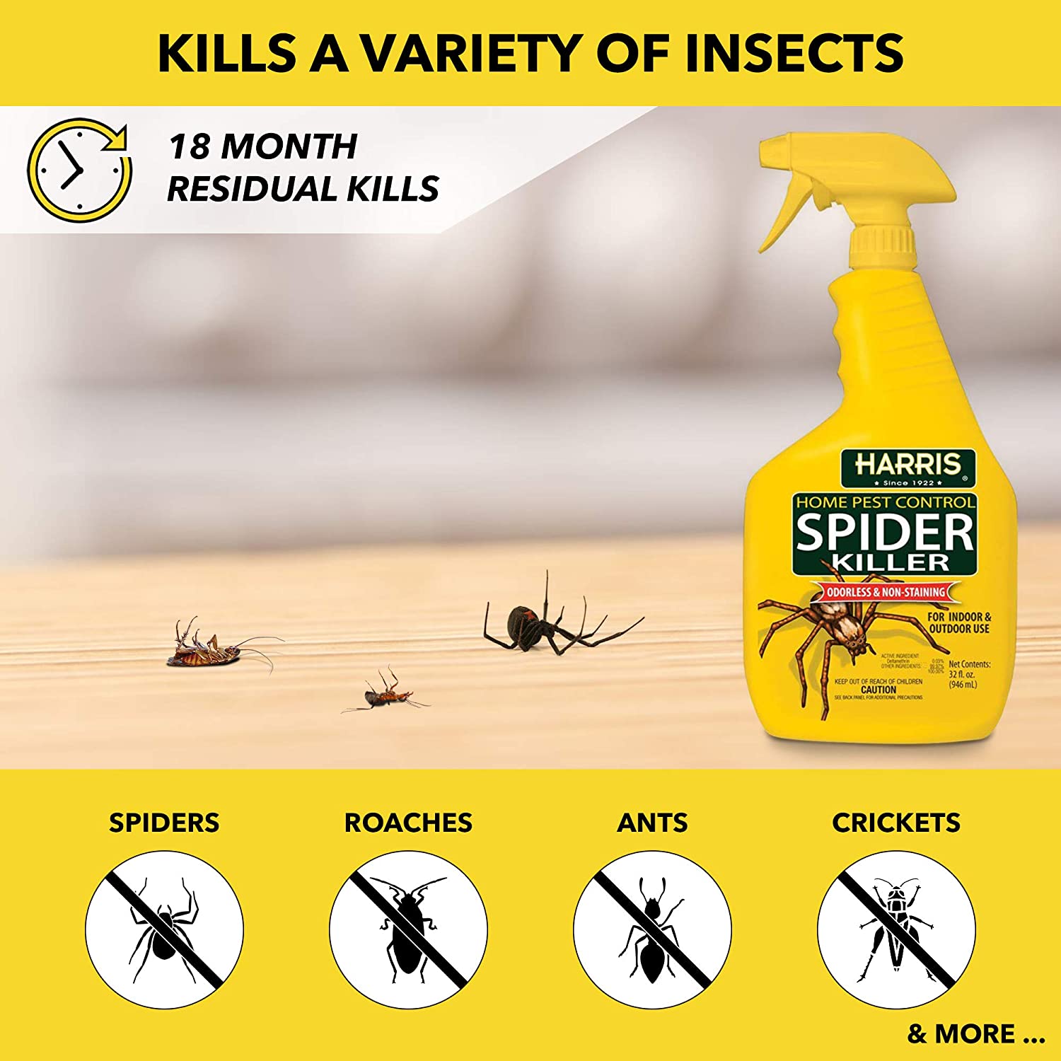 Harris Home Insect Killer, Liquid Gallon Spray with Odorless and Non  Staining Residual Formula - Kills Ants, Roaches, Spiders, Fleas, Mosquitos