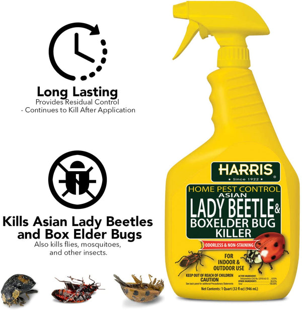 Harris Home Pest Control Asian Lady Beetle and Box Elder Killer