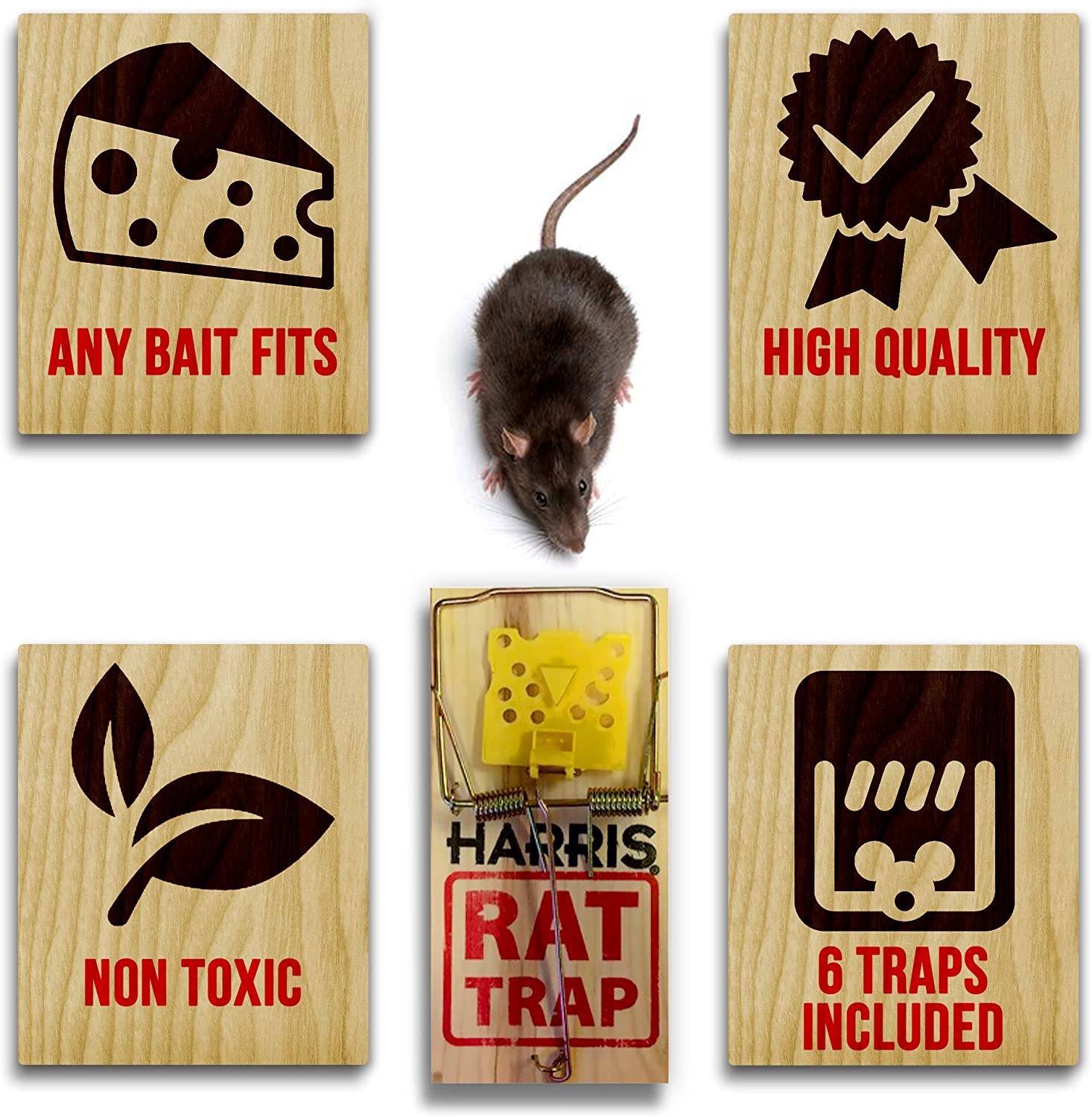 The 6 Best Humane Mouse Traps
