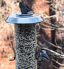Harris Blissful Bird Feeder for Outside, Coated Steel Hanging Tube Feeder (2.5lb Seed Capacity)