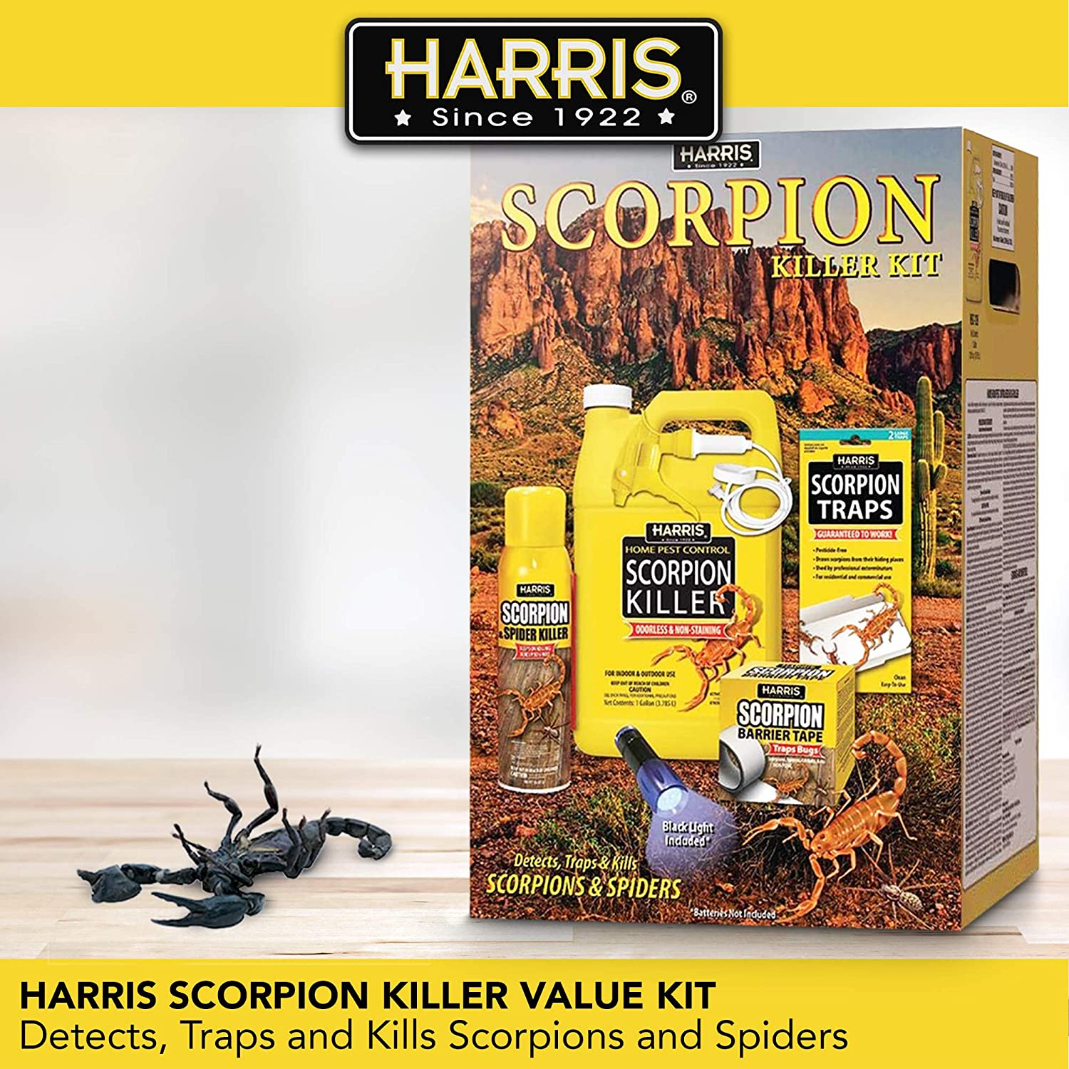 Scorpions - HomeTeam Pest Defense