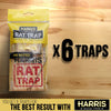 HARRIS Large Spring Action Wooden Rat Trap (6-Pack)