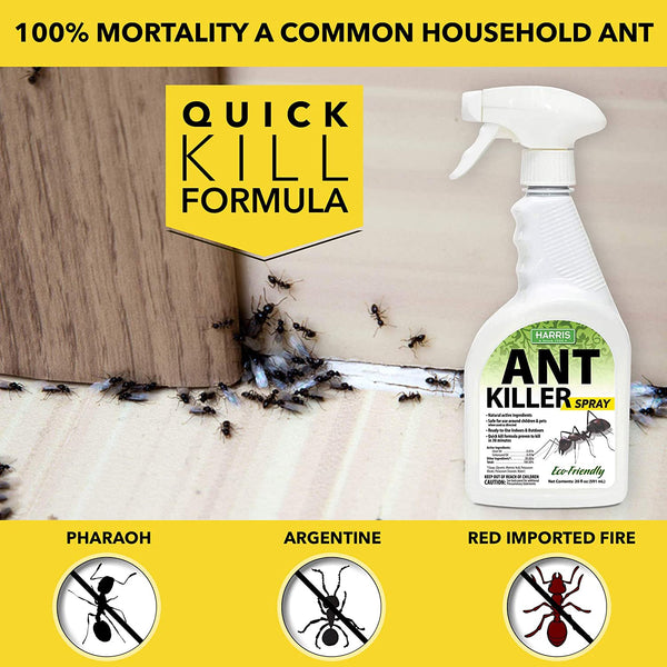 Harris Ant Killer Liquid Borax Bait, Indoor, 9 Ant Bait Trays – Pest  Control Everything