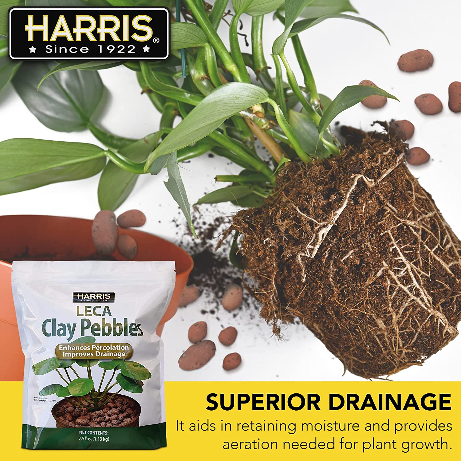 Harris LECA Expanded Clay Pebbles for Plants, 2.5lb for Indoor, Outdoo - PF  Harris