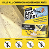 HARRIS Borax Liquid Ant Killer, 1oz - Includes 9 Bait Stations (1-Pack)