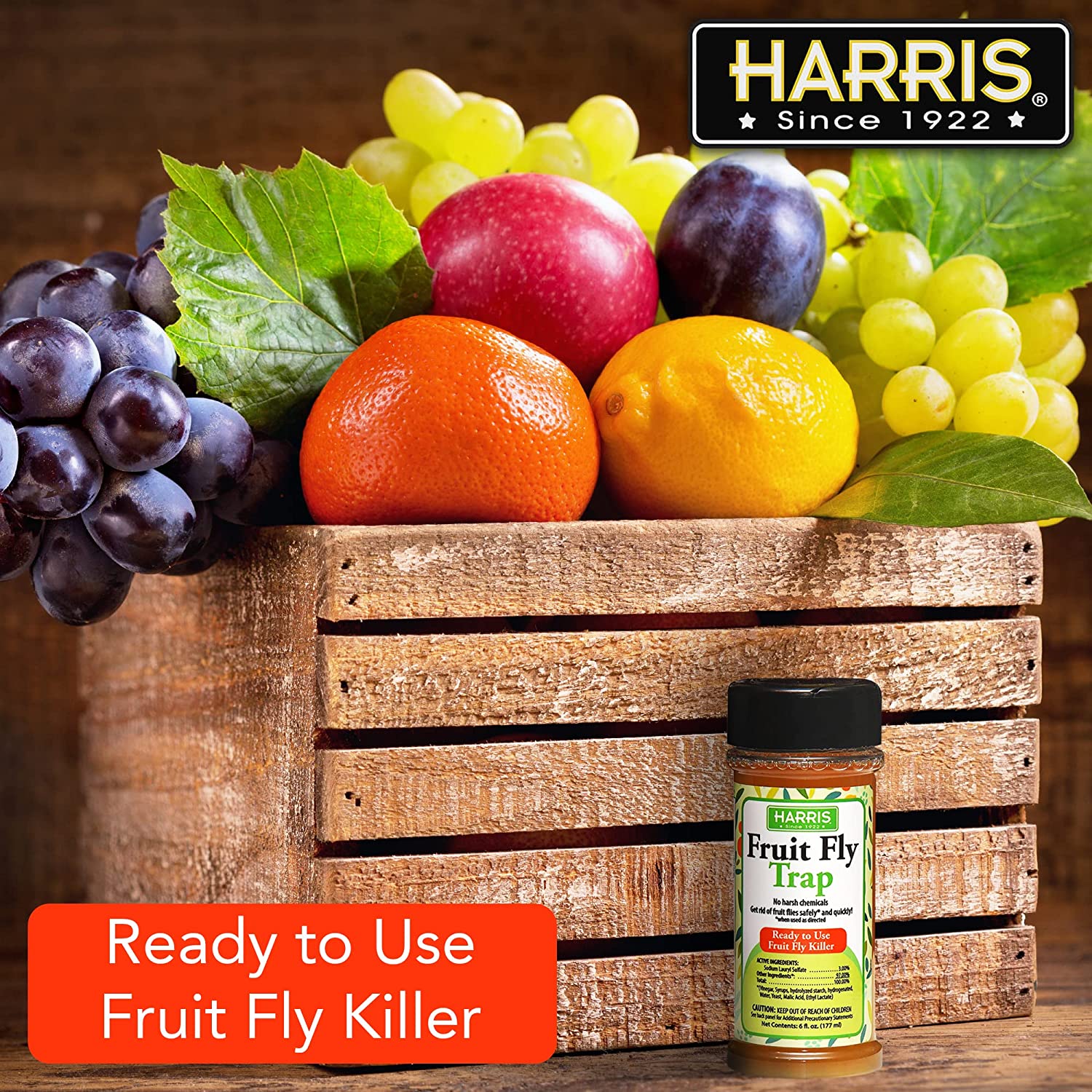 Harris Fruit Fly Trap, Fruit Fly Killer for Indoors, 6oz - PF Harris