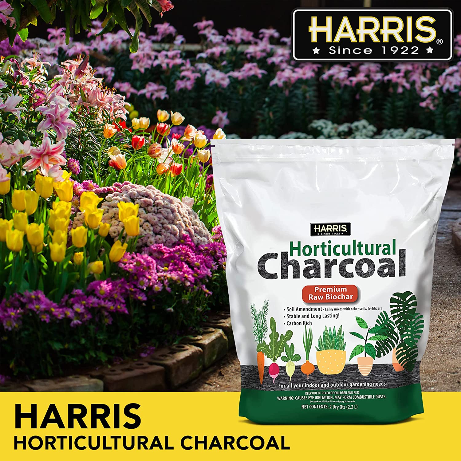 Premium Crickets Horticultural Charcoal For Planted Vivariums
