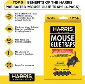 Homestyle Essentials Mouse, Rat & Insect Glue Traps 4 Pack Box (3 Boxes  Included) 