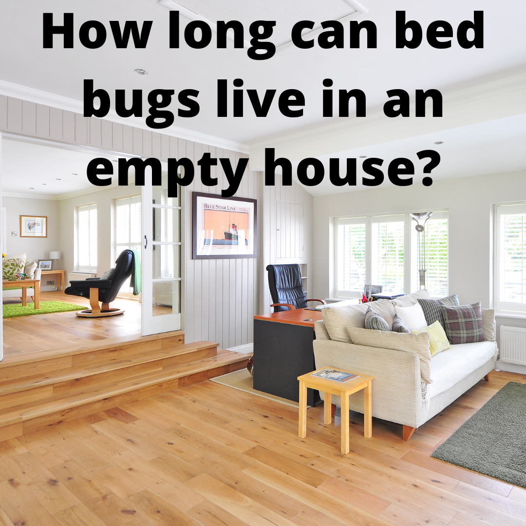 How Long Can Bed Bugs Live In An Empty House?