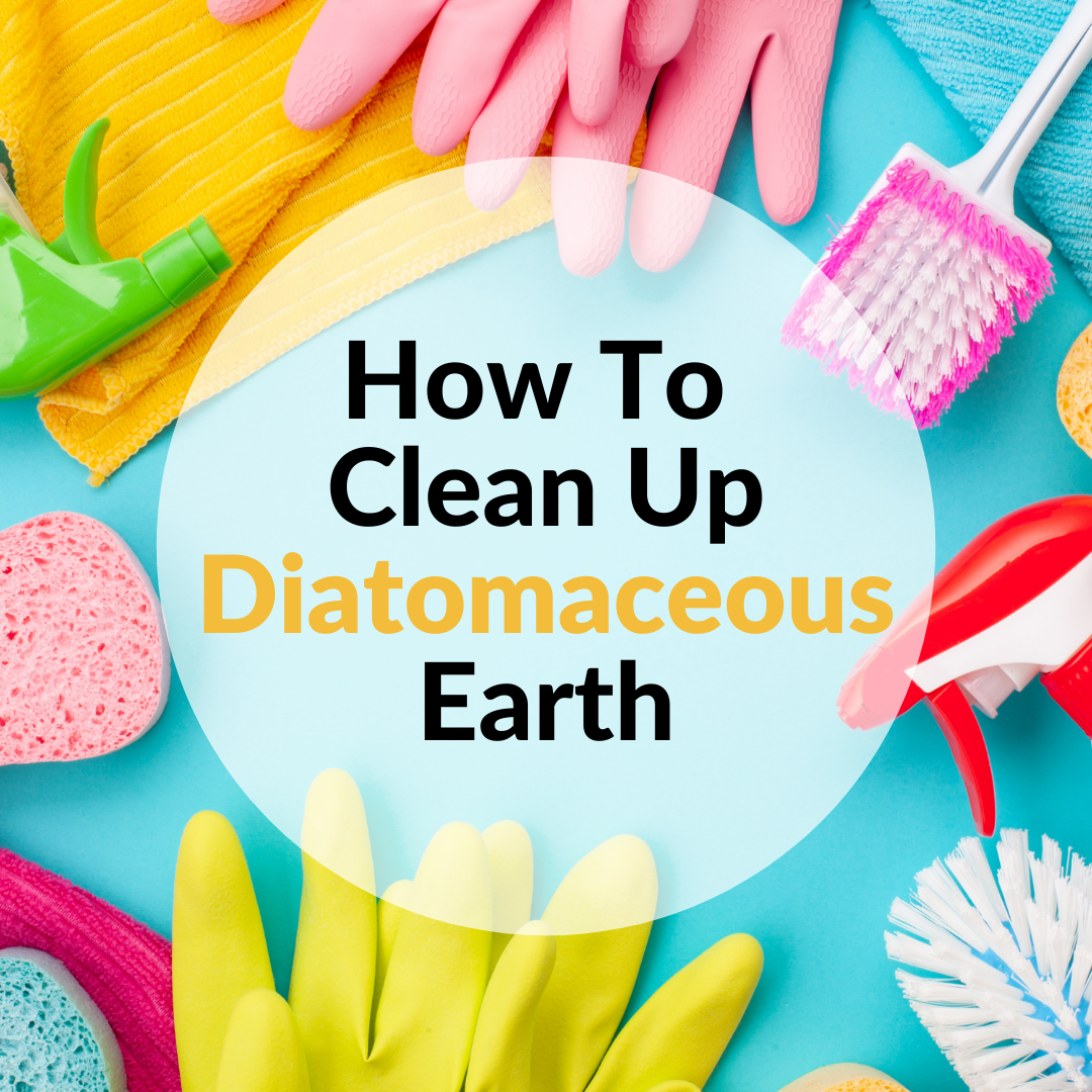 How To Clean Up Diatomaceous Earth